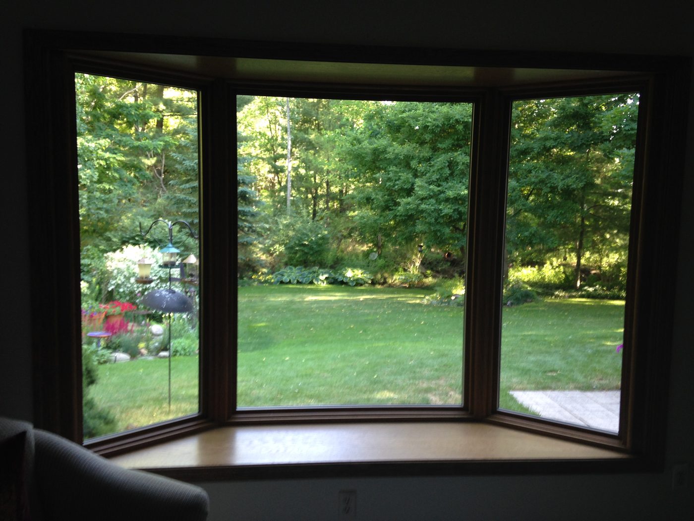 Bay window — the view from inside